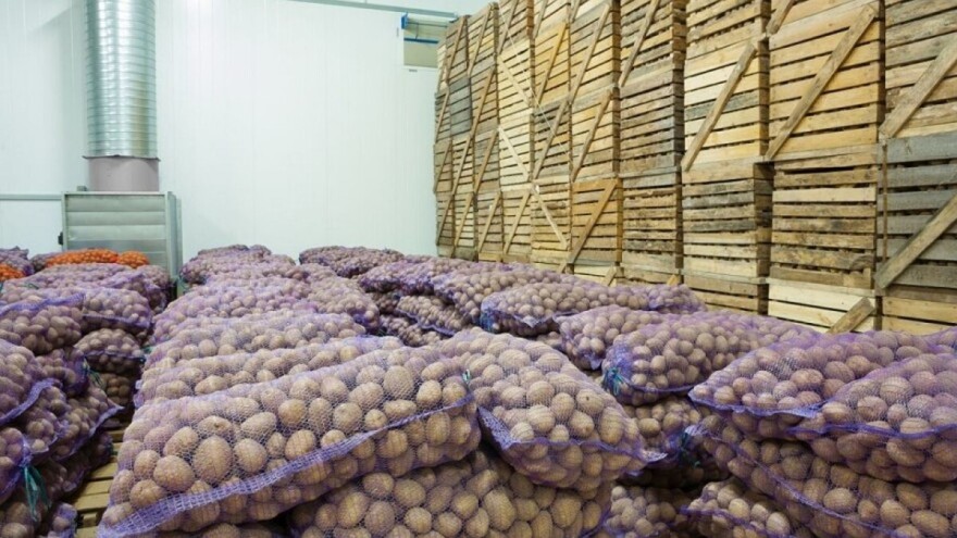 Koji su mogući uzroci oštećenja krompira tokom zimskih meseci?