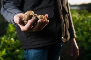 Šansa za poljoprivredu: Marketing agro proizvoda u doba pandemije