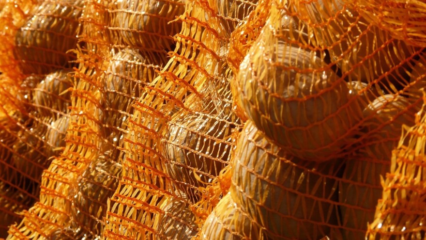 Krompir skuplji zbog vremenskih uslova i teže se čuva u skladištima