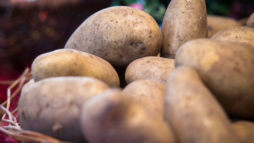 Krumpir: Koje ga zemlje najviše proizvode i izvoze?