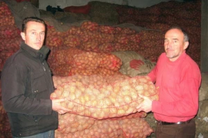 Zbog slabe prodaje sve manje krompirišta