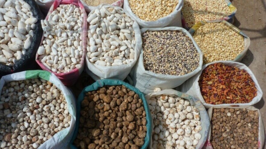 Može li peruanski krompir prehraniti stanovništvo u slučaju nestašice hrane?