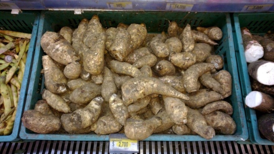 Šta je nama krompir, to je Latinoamerikancima arakača