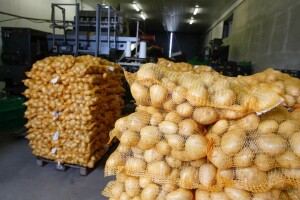 Posljedice pandemije: pala vrijednost trgovine sa zemljama van EU