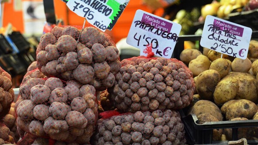 Najstariji krompir u Evropi uzgaja se na Tenerifima - cena mu ide do neba