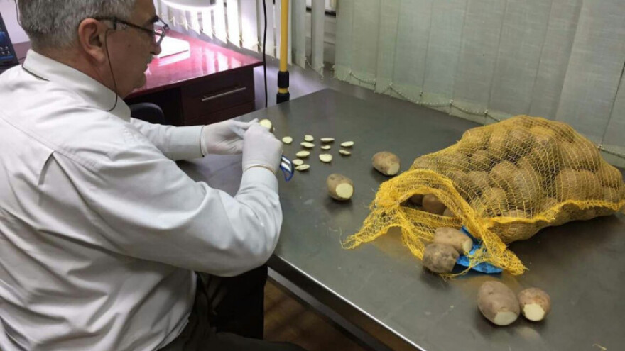 Spriječen uvoz još 77 tona zaraženog krompira!