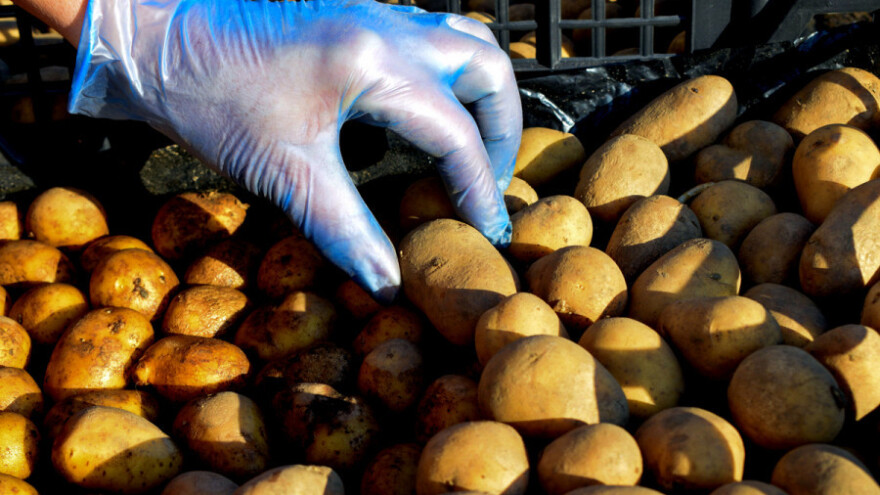 Čile će pomagati BiH oko sjemenskog krompira