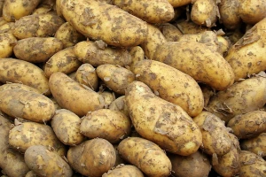 Udruživanje proizvođača diktira cenu