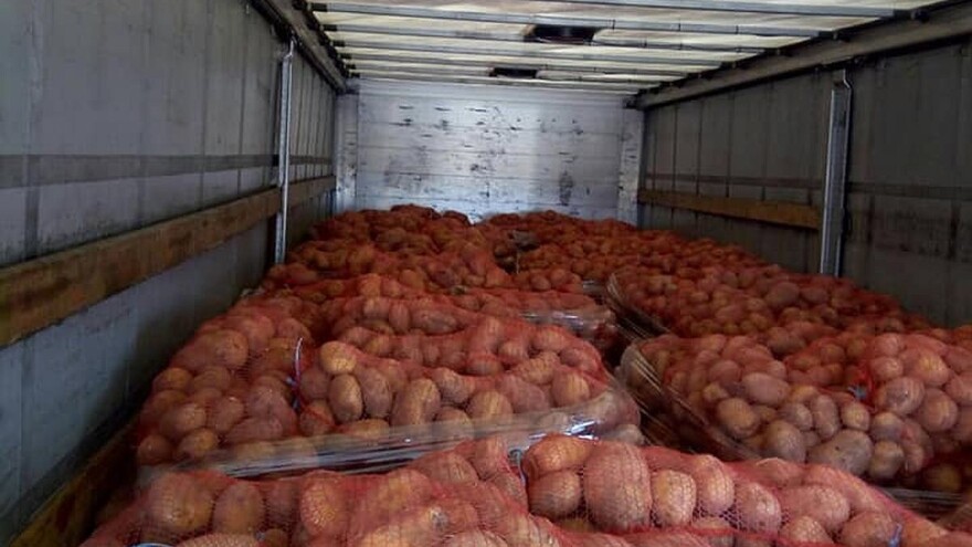 Ova godina dobra za krompir, poljoprivrednici očekuju oko 40 t/ha prinosa