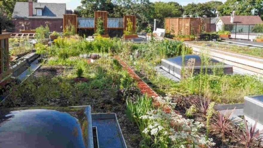 Baštom na krovu protiv klimatskih promjena