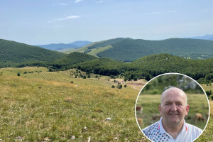 Ivan Tešija: Vrijeđao u afektu jesam, ali ne i prijetio