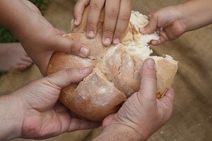 Tko nam daje kruh? Na ruskoj pšenici više od pola svjetskog tržišta