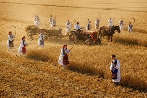 Kruh naš svagdašnji - Županja 2014.