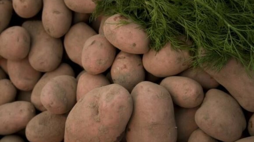 Srebrna, obična i prašna krastavost gomolja krumpira