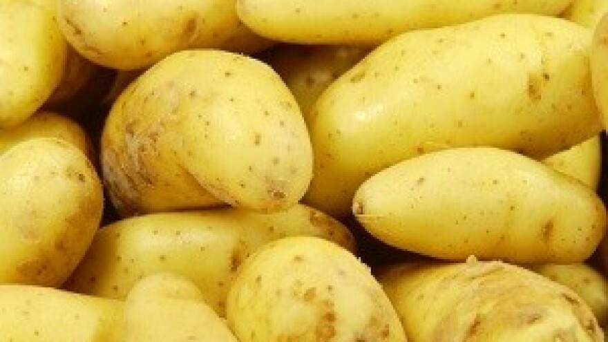 10 tona krumpira za one kojima je to najpotrebnije