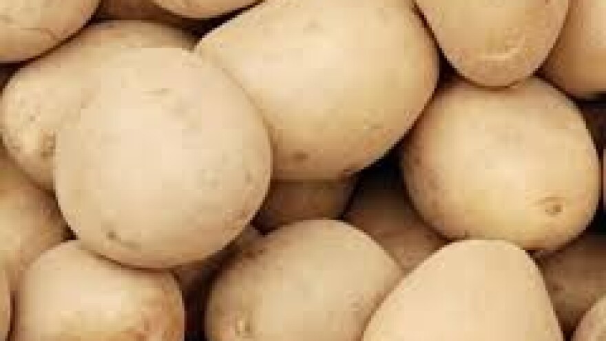 Zaštita krumpira nakon nicanja