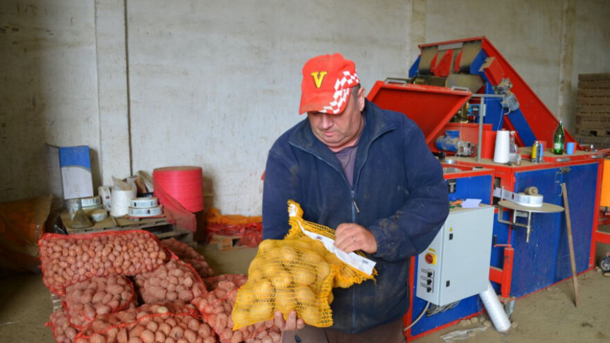 Uzgajaju krumpir: Sreća je imati dobrog kupca!