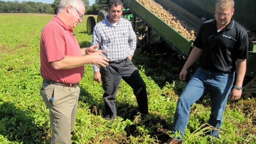 Ranim sortama krumpira protiv suše!