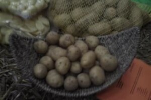 Pastrva i krumpir spašavaju Liku