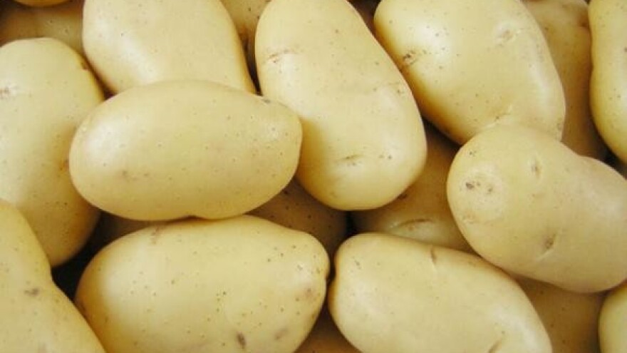 U smeću završio neprodani krumpir