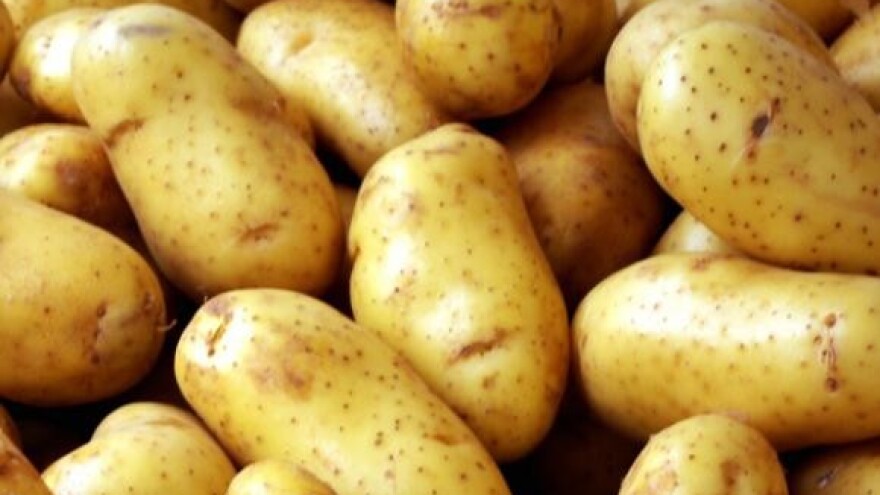 Lička delicija na udaru uvoznog povrća