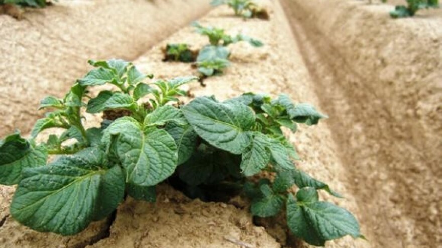 Partnerstvo u lancu hrane - više od ideje