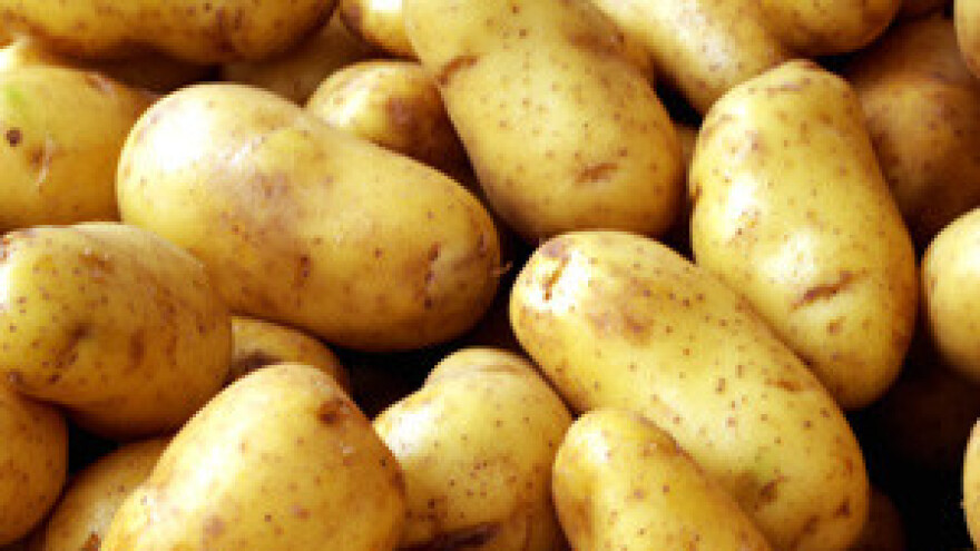 Krumpir će biti tražena roba