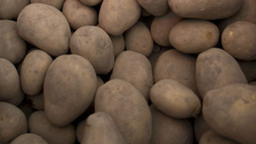 Poljoprivrednicima isplata šteta od poplava