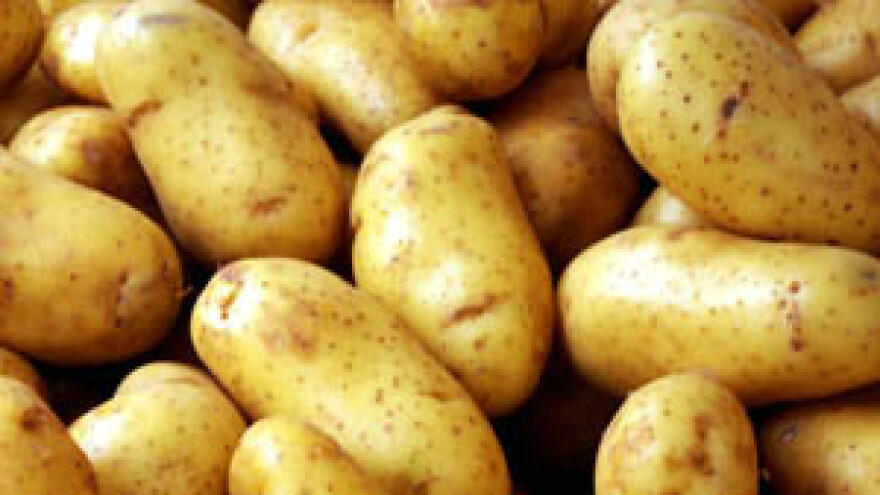 Slavoncima krumpire poskupili ruski trgovci