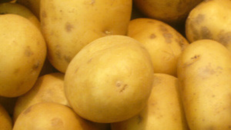 Sadi se više krumpira nego lani