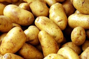 Novcem iz IPARD-a kombajn za krumpir bio upola jeftiniji