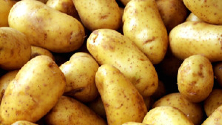 Novcem iz IPARD-a kombajn za krumpir bio upola jeftiniji