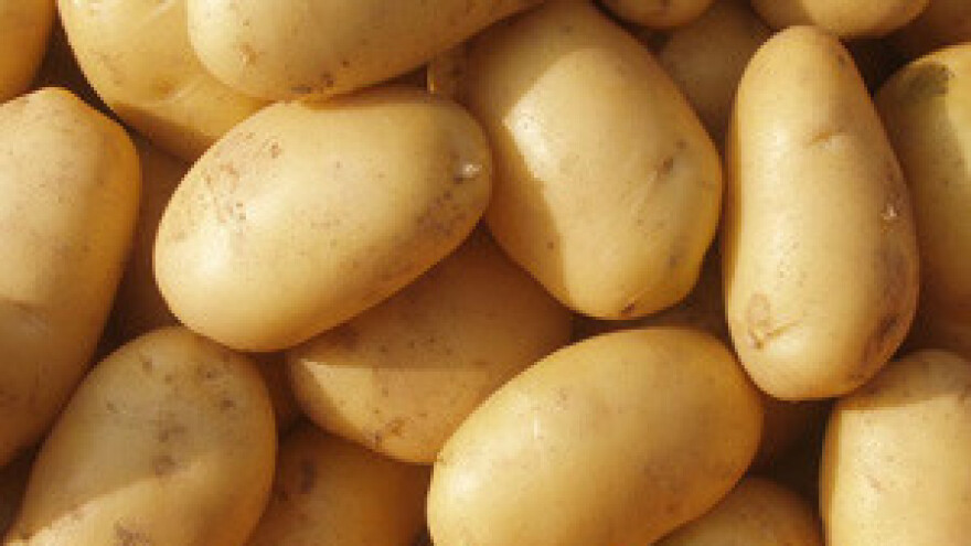 Zaštita krumpira nakon nicanja