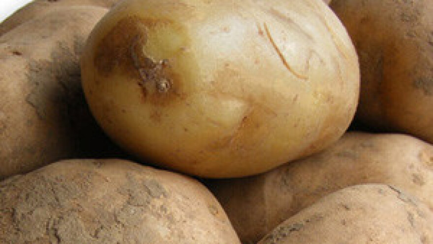 Nove isplate za IPARD program