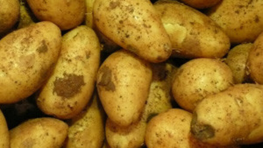 Dani polja sjemenskog krompira