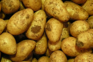Ove godine ovisit ćemo o uvoznom mesu, povrću i voću