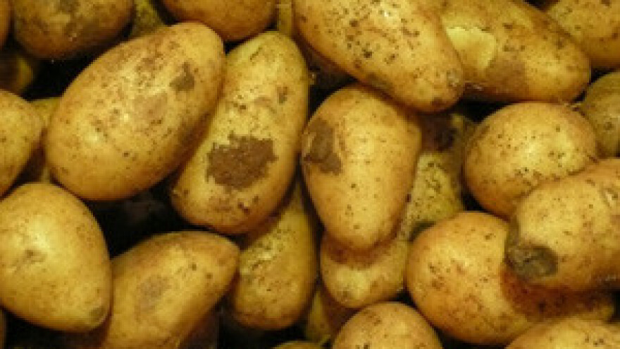 Ove godine ovisit ćemo o uvoznom mesu, povrću i voću