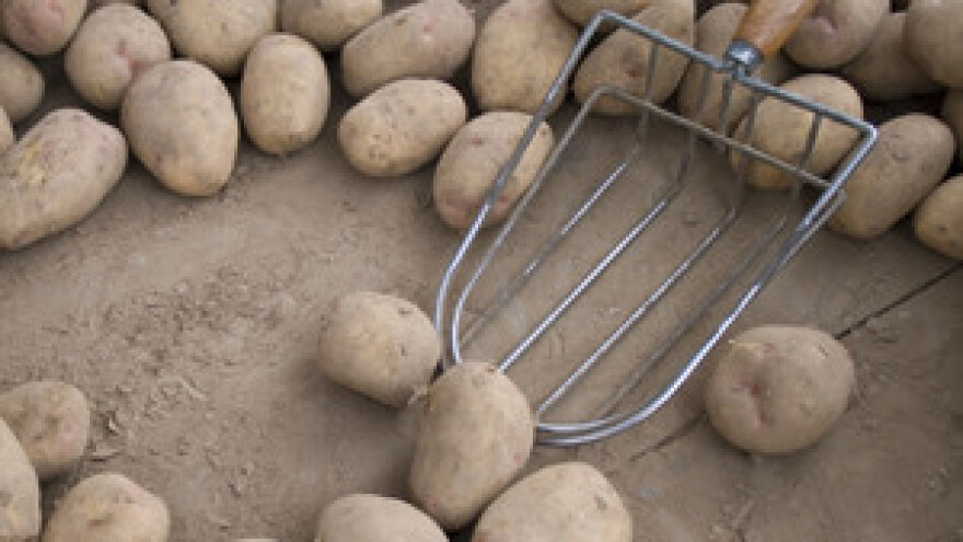 Dugim i skupim procedurama država onemogućava navodnjavanje