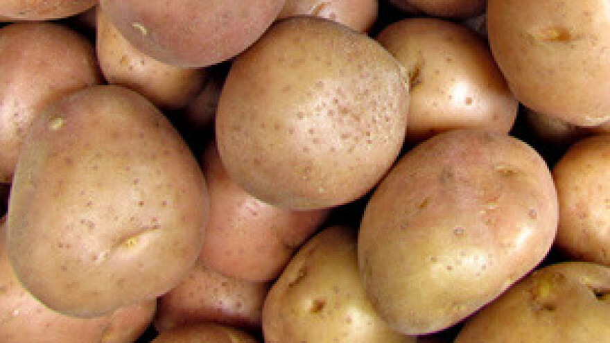 Krumpir neisplativ, skladištite ga!