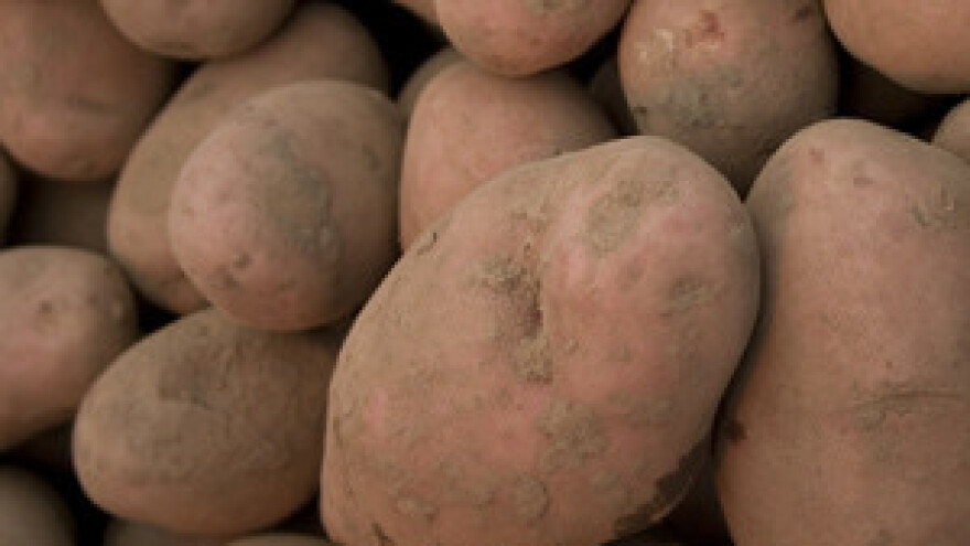 Rusi žele otkupiti međimurski krumpir