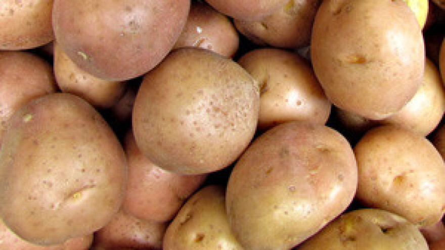 Zbog vrućina trune krumpir u vrećama