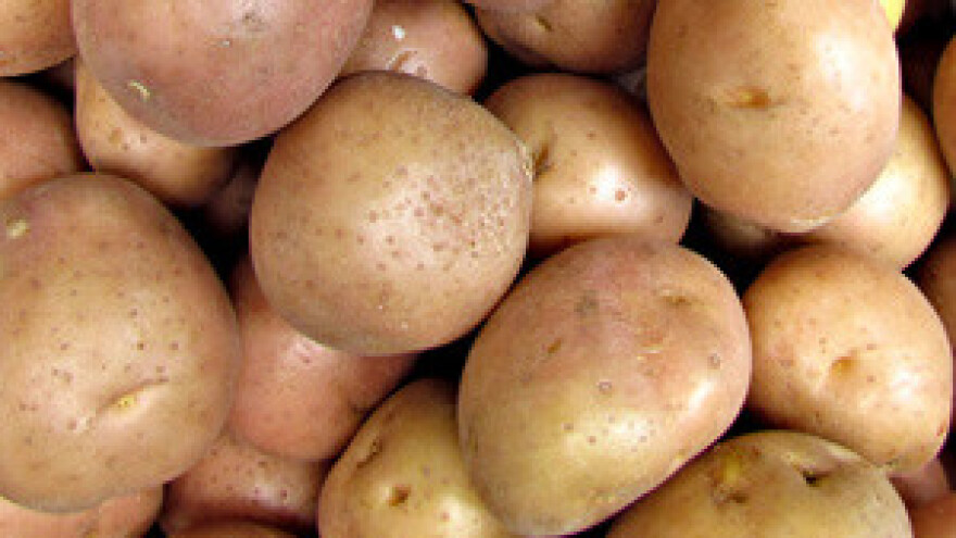 Proizvodnja povrća skuplja 32 posto