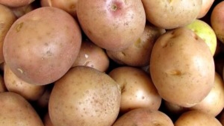 Međimurski krumpiraši gledaju u nebo i kažu - već kasnimo!