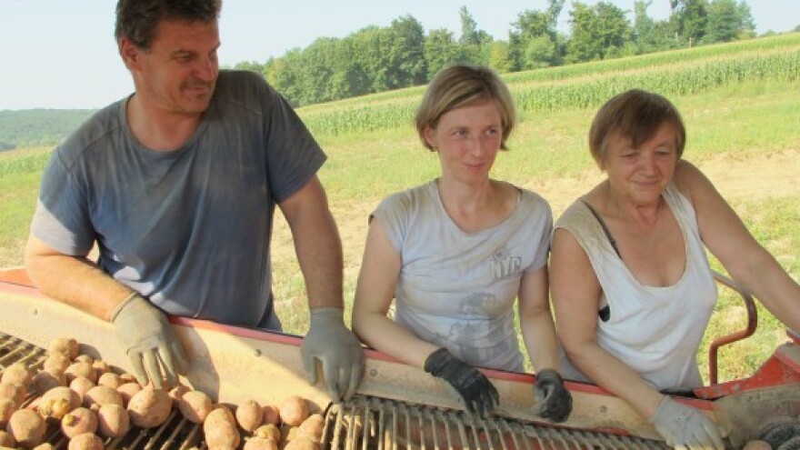 Kooperanti strahuju od zatvaranja tvornice čipsa