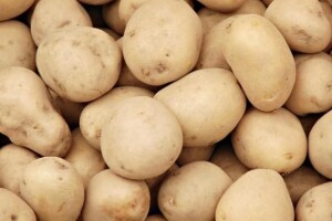 Prepolovljen urod krumpira