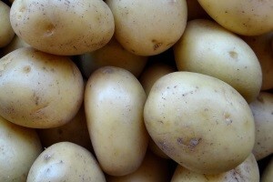 Kako suzbijati koncentričnu pjegavost cime krumpira?