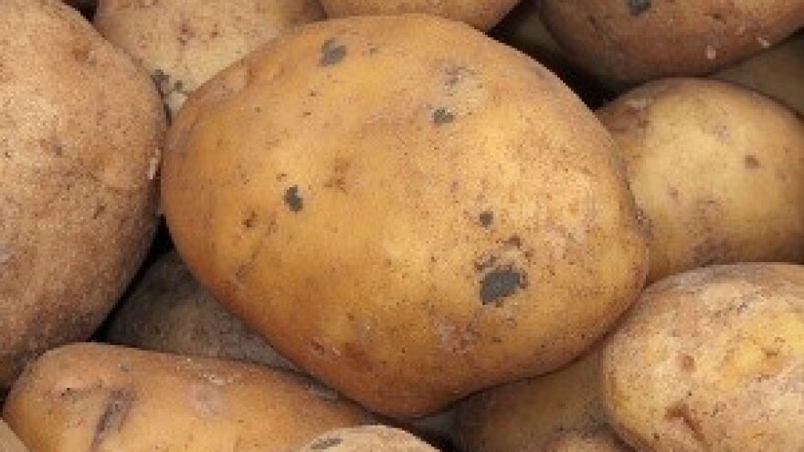 Kralj čipsa Zvonko Popović: Ne daju mi zemlju!