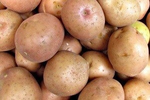 Merkantilnog krumpira u skladištima više nema!