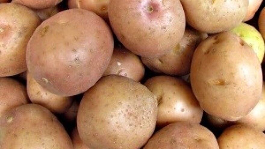 Merkantilnog krumpira u skladištima više nema!