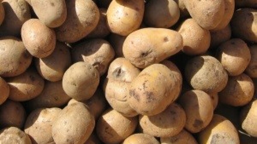 Sjemenski krumpir ne može u EU, agrumi samo uz 'povlasticu'